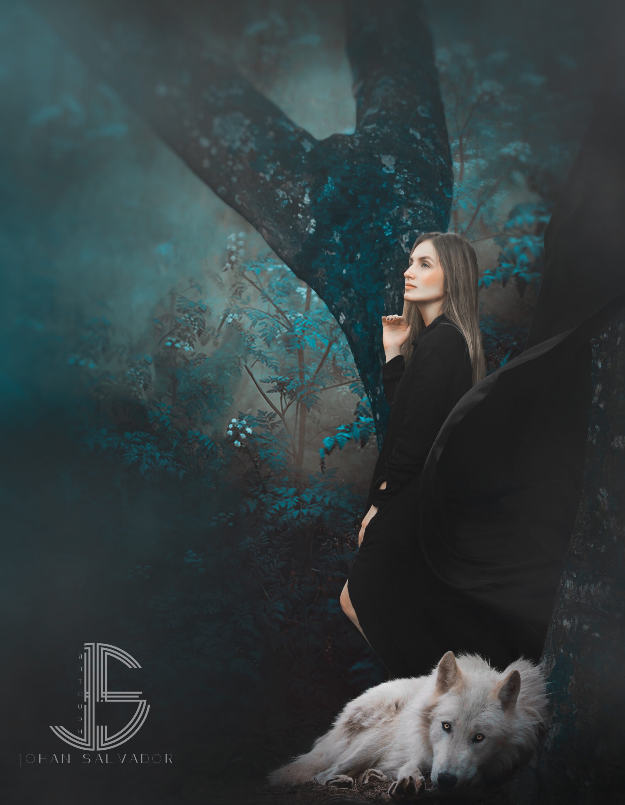 FINE ART JS 2